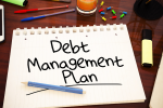 debt management plan notebook
